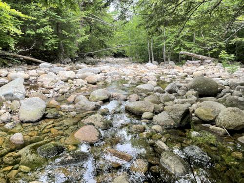 Pond Brook in June near Young Mountain in New Hampshire