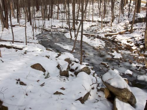 woods and Ox Brook at Williams Van Zandt Family Preserve in New Hampshire