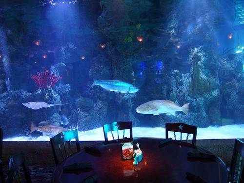table and fishtank in the Aquarium restaurant at Kemah Boardwalk near Houston, Texas