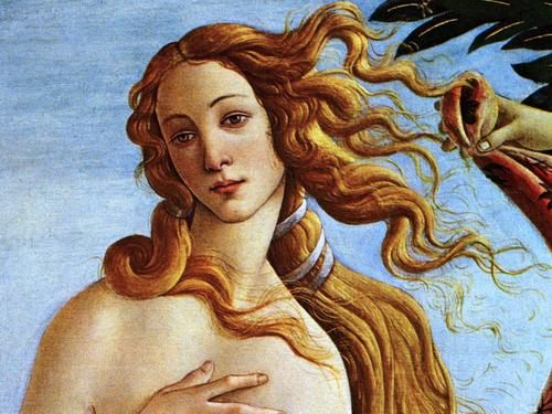 Birth of Venus painting by Sandro Botticelli on display at Florence, Italy