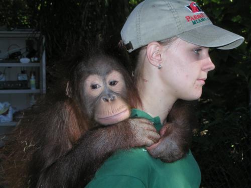 monkey and caretaker near Key West, Florida, in February 2002