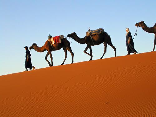 camel train in October 2002 in the Sahara Desert of Morocco