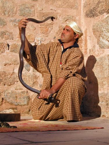 snake charmer in Morocco