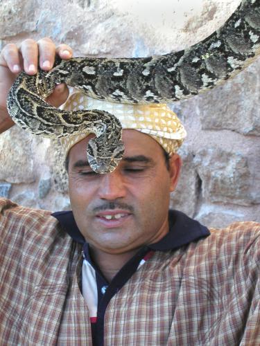 snake charmer in October 2002 in Marrakech, Morocco