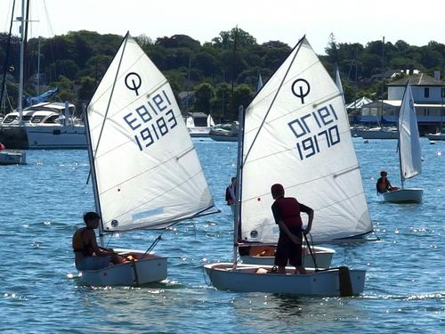 young sailors in prams practice their skill at Newport Harbor in Rhode Island