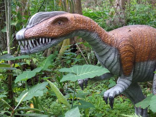 Liliensternus inside Dinosaur World at Plant City in Florida