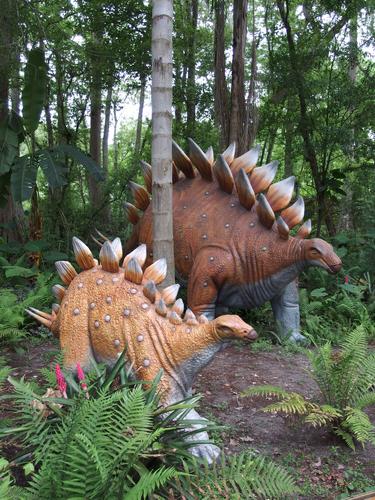 Stegosaurus inside Dinosaur World at Plant City in Florida