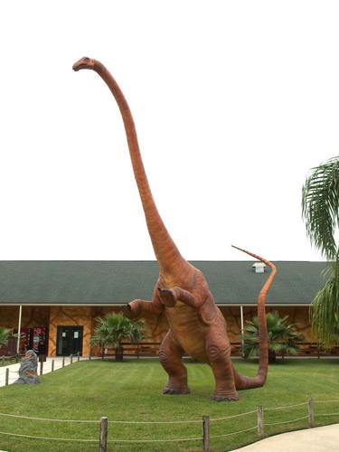 tallest display inside Dinosaur World at Plant City in Florida
