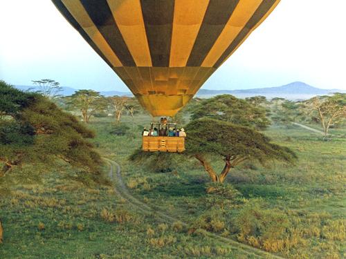 hot-air balloonists go for an early-morning ride over Serengeti National Park in Tanzania