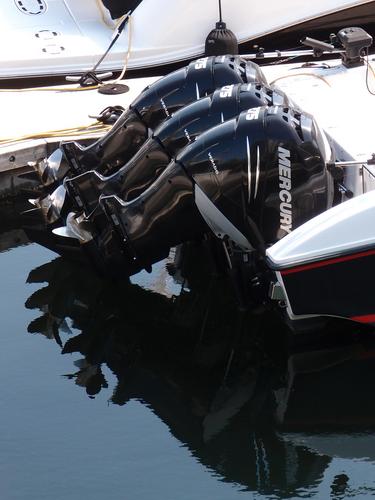 over-powered speedboat within Vancouver's harbor at British Columbia in Canada