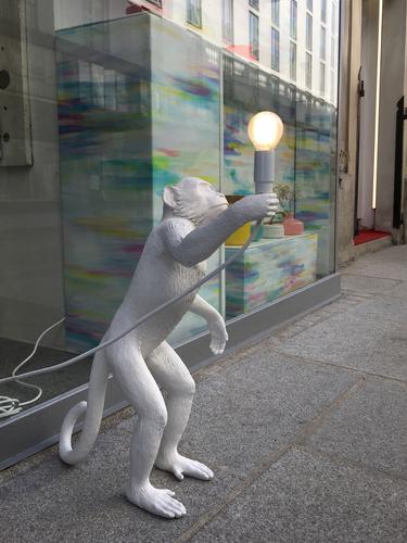 monkey with a lightbulb in front of a shop at Vienna, Austria