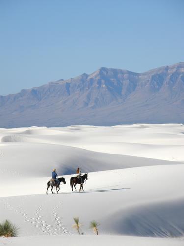 horse riders at White Sands