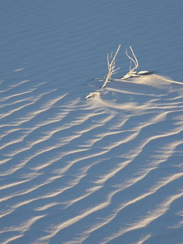 gypsum sand ripples that look like ocean waves at White Sands National Monument in New Mexico