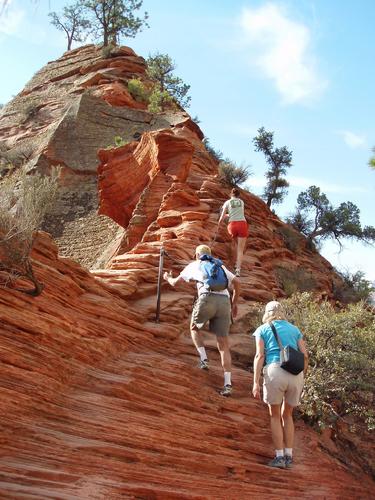 hikers ascending the trail to Angels Landing at Zion National Park in Utah