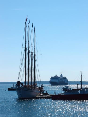 a full range of boats happily docked at Bar Harbor in Maine