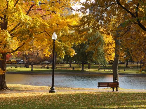 the Boston Garden is serene and colorful in late-fall foliage