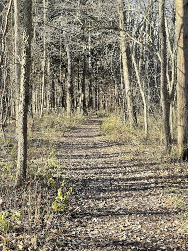 trail in November at Iroquois National Wildlife Refuge in western New York