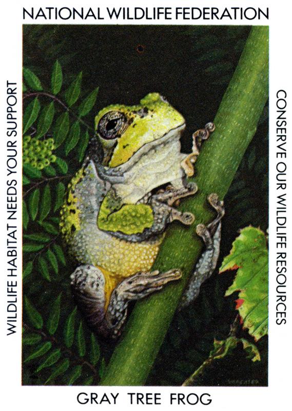 1986 Gray Tree Frog Stamp