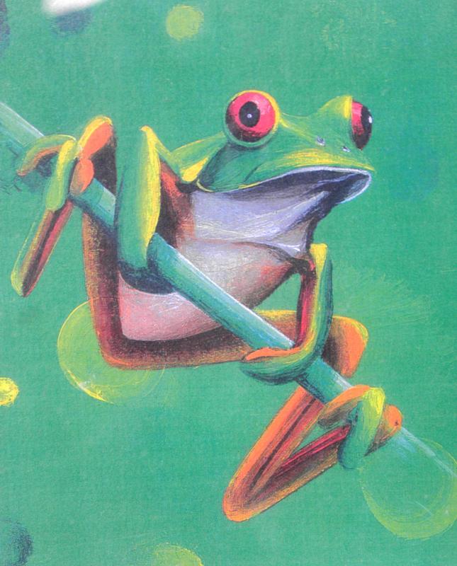 frog painting