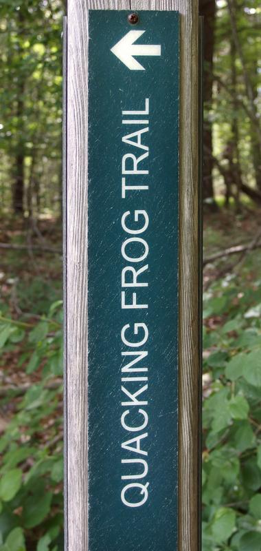 frog trail sign