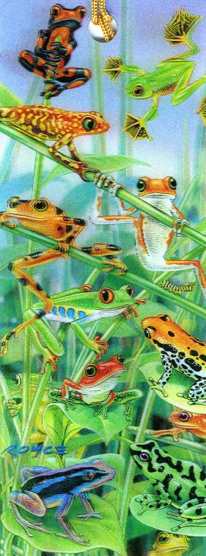 3D frog bookmark