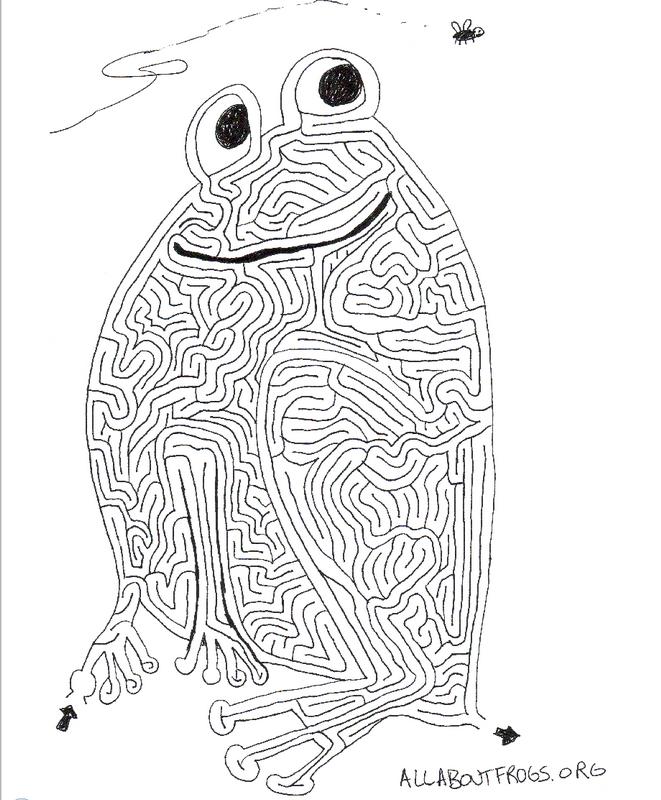 frog maze