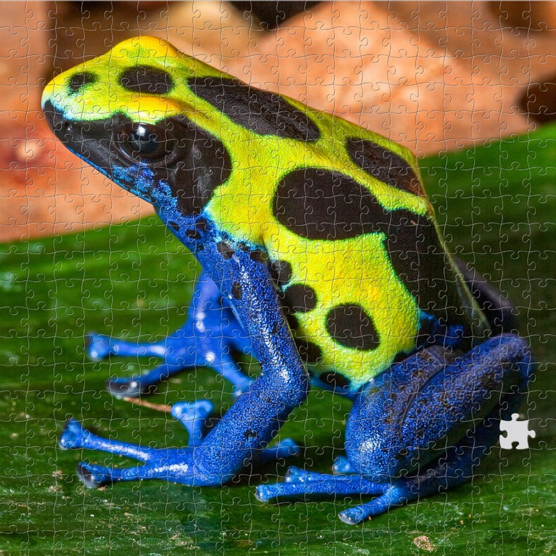 puzzle