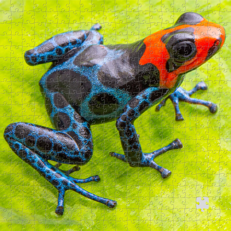 puzzle