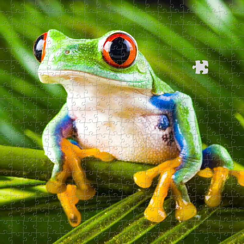 puzzle
