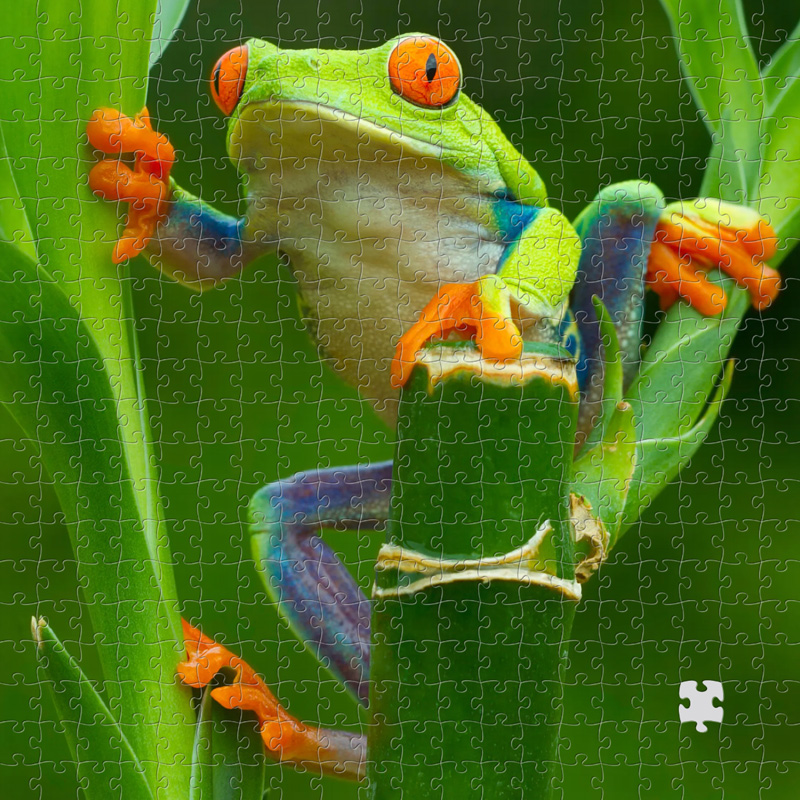 puzzle
