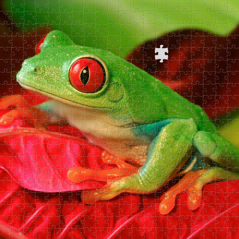 puzzle