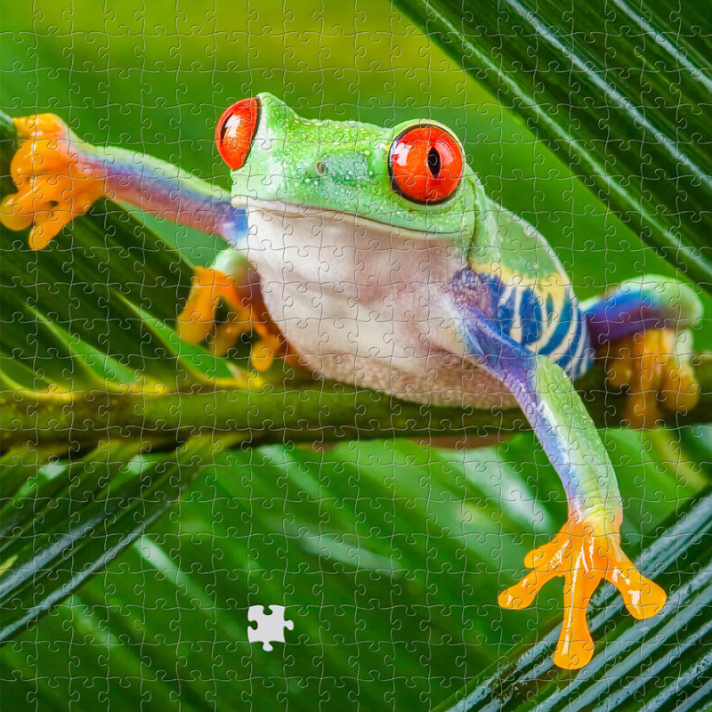 puzzle