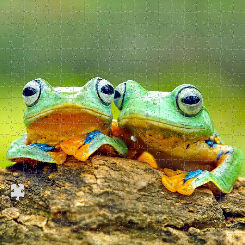 puzzle