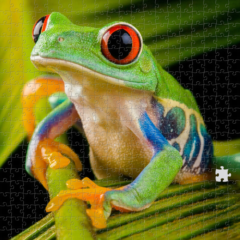 puzzle