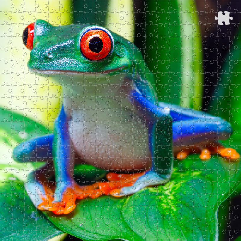 puzzle