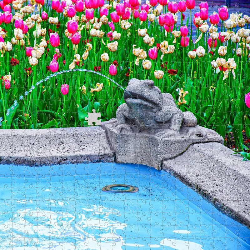 pool frog