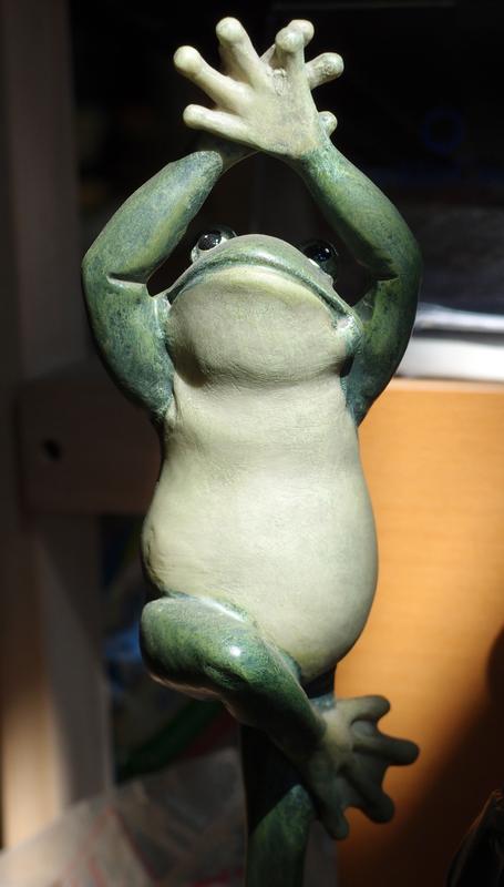 dancing frog