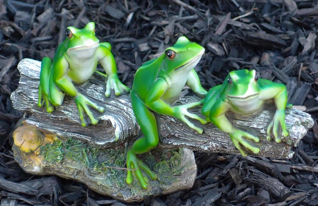 frog triplet