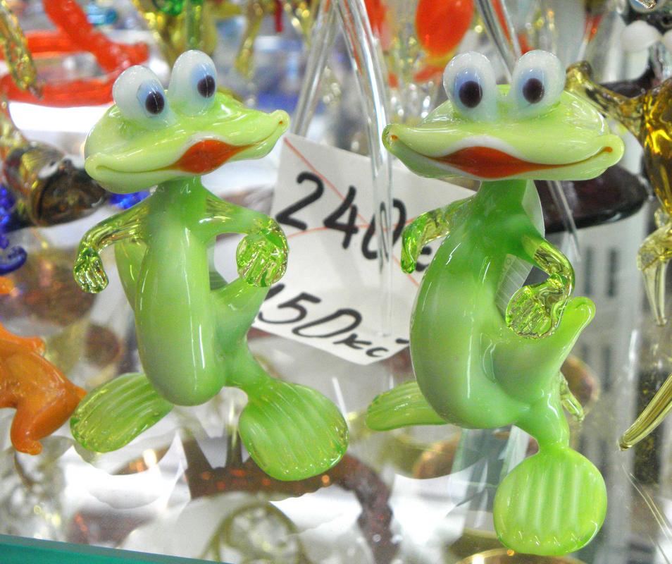 pair of glass frogs
