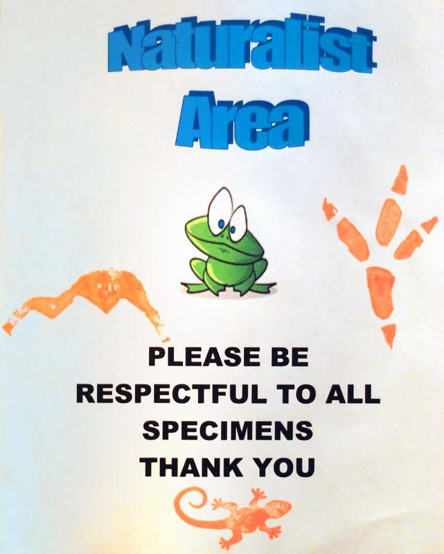naturalist poster