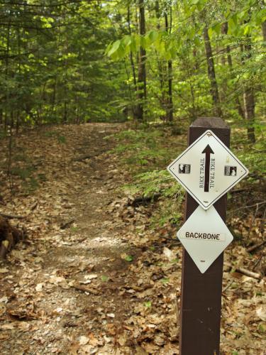 trail sign at Ahern State Park in New Hampshire