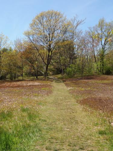 trail at Alander Mountain in southwestern Massachusetts