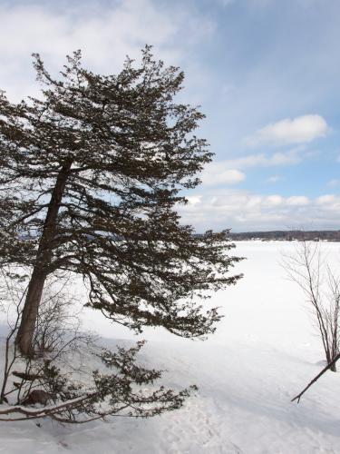 view of Shelburne Bay in March from Allen Hill in Vermont