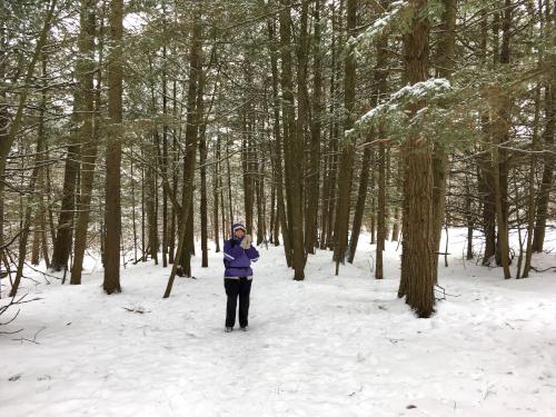 Andee enjoying being alone in the midst of beautiful woods near Allen Hill at Shelburne Bay Park in Vermont