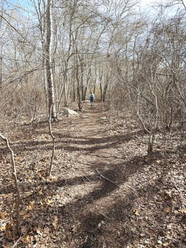 trail in February at Allens Pond Wildlife Sanctuary in southeast MA