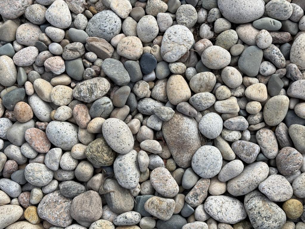 beach pebbles in February at Allens Pond Wildlife Sanctuary in southeast MA
