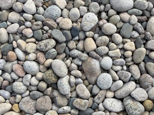 beach pebbles in February at Allens Pond Wildlife Sanctuary in southeast MA