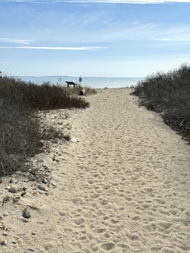 sand path in February at Allens Pond Wildlife Sanctuary in southeast MA