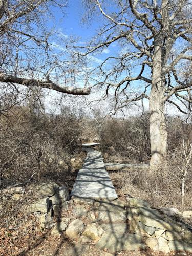 trail in February at Allens Pond Wildlife Sanctuary in southeast MA