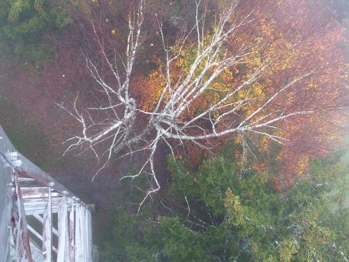 foggy Halloween view looking down from the tower on top of Bear Hill near Montpelier in Vermont